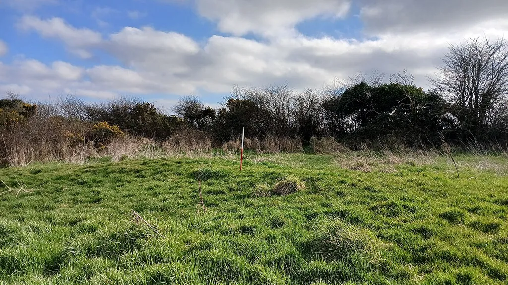 Site of Rathclea Church (Teampall Ráth an tSléibhne) in Ballyreddy. Nothing but a small raised area remains, the stones having been removed to build an outhouse of a farm nearby, according to local oral tradition.