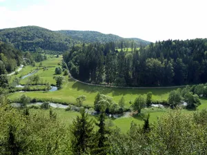 Kreisverordnung über den Schutz von Landschaftsteilen im Markt Hohenburg und in der Gemeinde Adertshausen des Landkreis Amberg