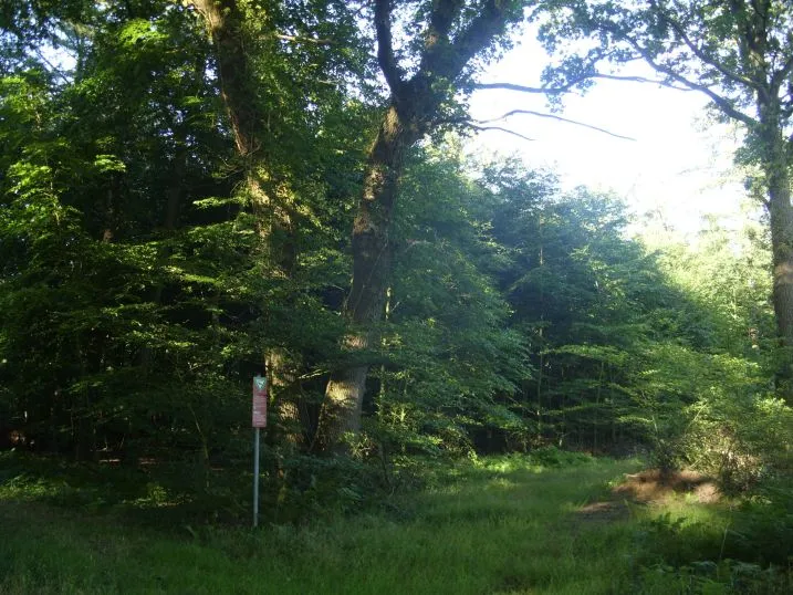 Naturschutzgebiet „Huuss im Flögelner Holz“