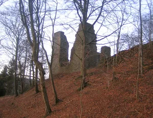 Schönstein castle ruins
