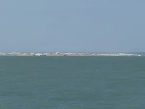 Île Sans Nom