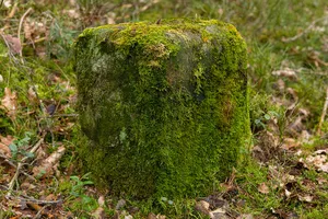 Grenzstein Fürther Stadtwald in Fürth