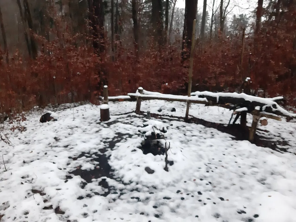 Top of the Schiterburg castle hill near Dübendorf, Kanton Zurich, Switzerland. BBQ site, image taken in winter.