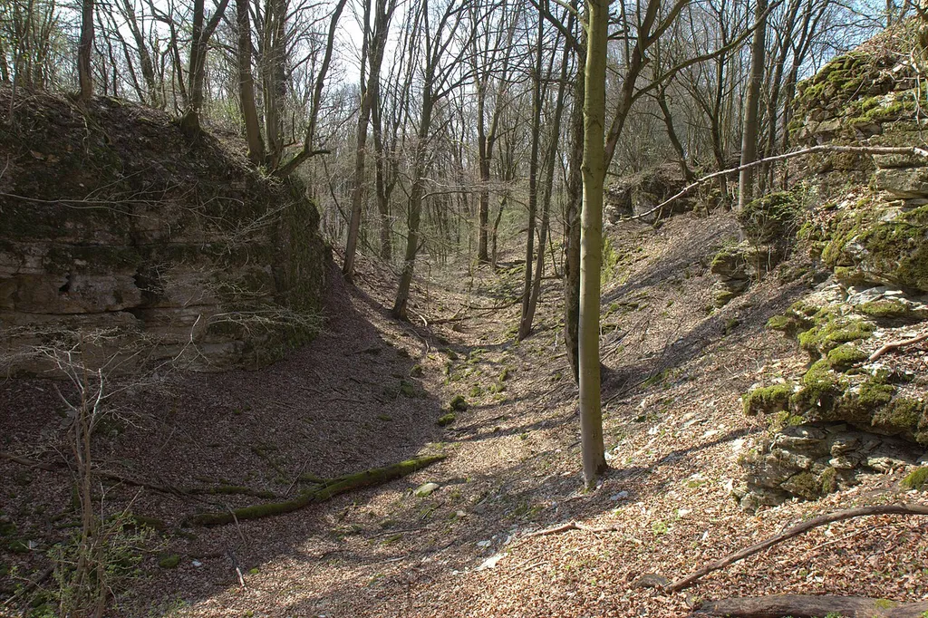 Burgstall Trossberg - Halsgraben der Burg