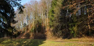 Burgrest Falkenstein
