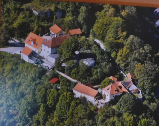 Luftaufnahme_Burg_Rieden (Oberpfalz)