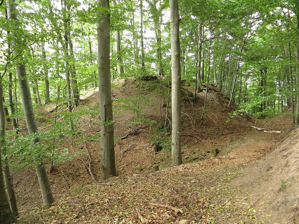 Burgstall Gabelstein. Blick von Süden auf die Kernburg (Bildmitte) und den Halsgraben (rechts)