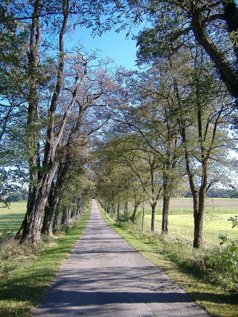 Schutz des Donautales westlich von Neuburg im Gebiet der Stadt Neuburg sowie der Märkte Burgheim und Rennertshofen und der Gemeinde Oberhausen, Landkreis Neuburg-Schrobenhausen