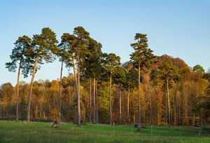 Wunnenstein, Forstberg und Köchersberg mit angrenzenden Gebieten (Landkreis Ludwigsburg)