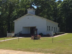 Blue Springs Methodist Church (Fourmile, Alabama)