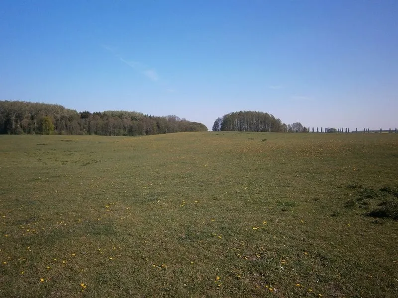 Die schwache Erhebung im Bild stellt den Burgwall dar.