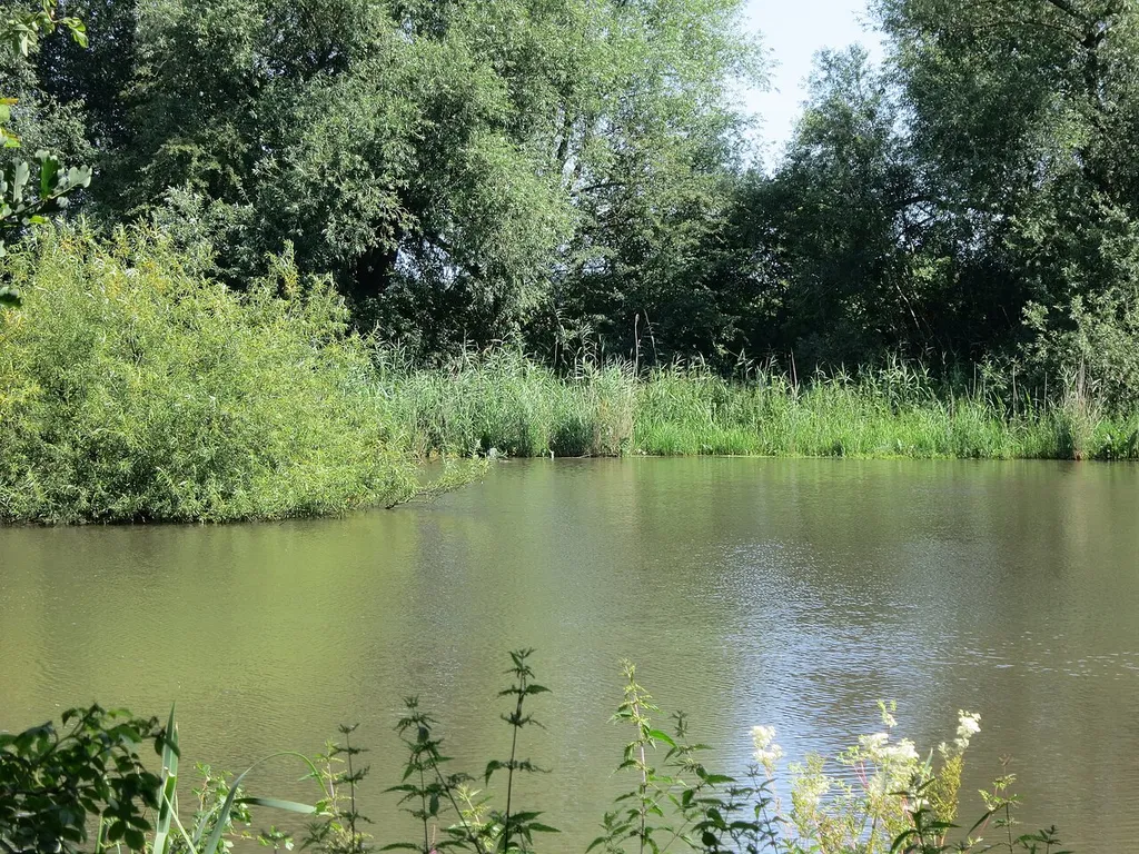 Südöstliches Ende des Kirchweyher Sees in Weyhe-Sudweyhe