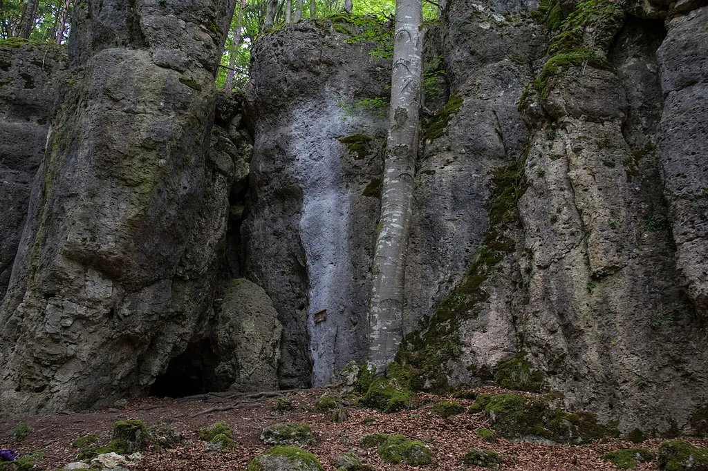 Saalburg, Plech, Geotop, Naturpark Fränkische Schweiz-Veldensteiner Forst
