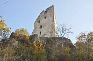 Šalek Castle