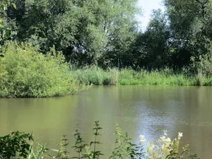 Hache, Ochtum, Klosterbach/Varreler Bäke