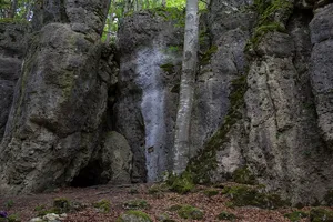 Saalburg mit Höhlen (D125) SE von Plech