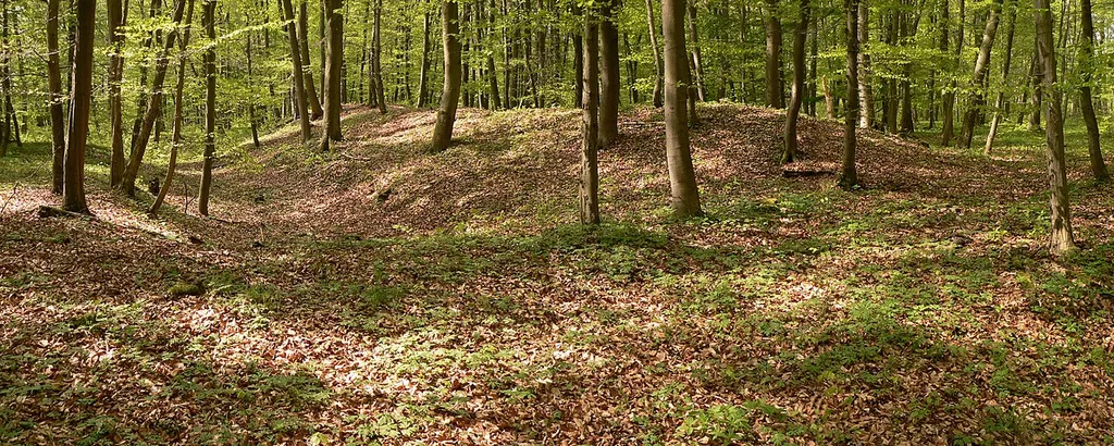 Schalksburg im Oderwald, links Graben, Mitte Wall und rechts Walllücke mit Erdbrücke)