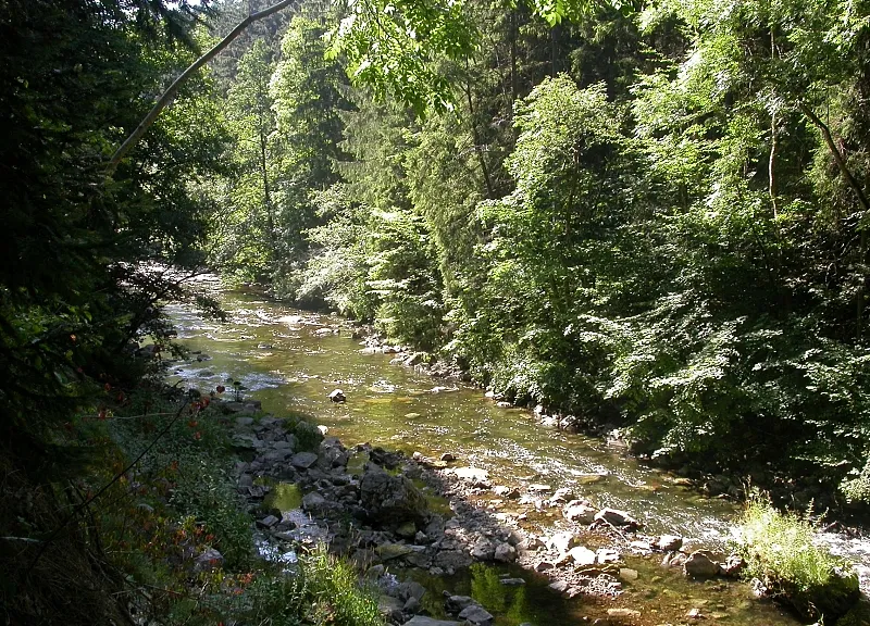 Wutachschlucht (Landkreis Breisgau-Hochschwarzwald)