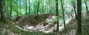 Burg Reinstein