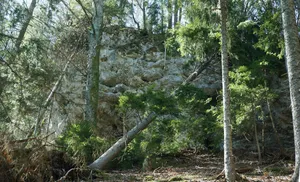 Burgruine Ras