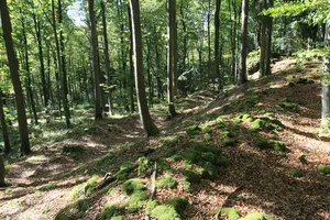 Alter Schlossberg