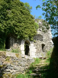 Burgruine Hohenberneck