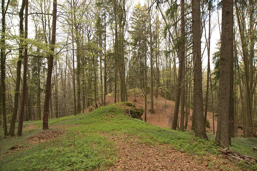 Burgstall Scharfenberg - Ansicht des Burgstalls