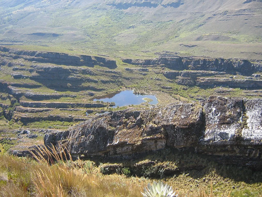 Pisba National Natural Park