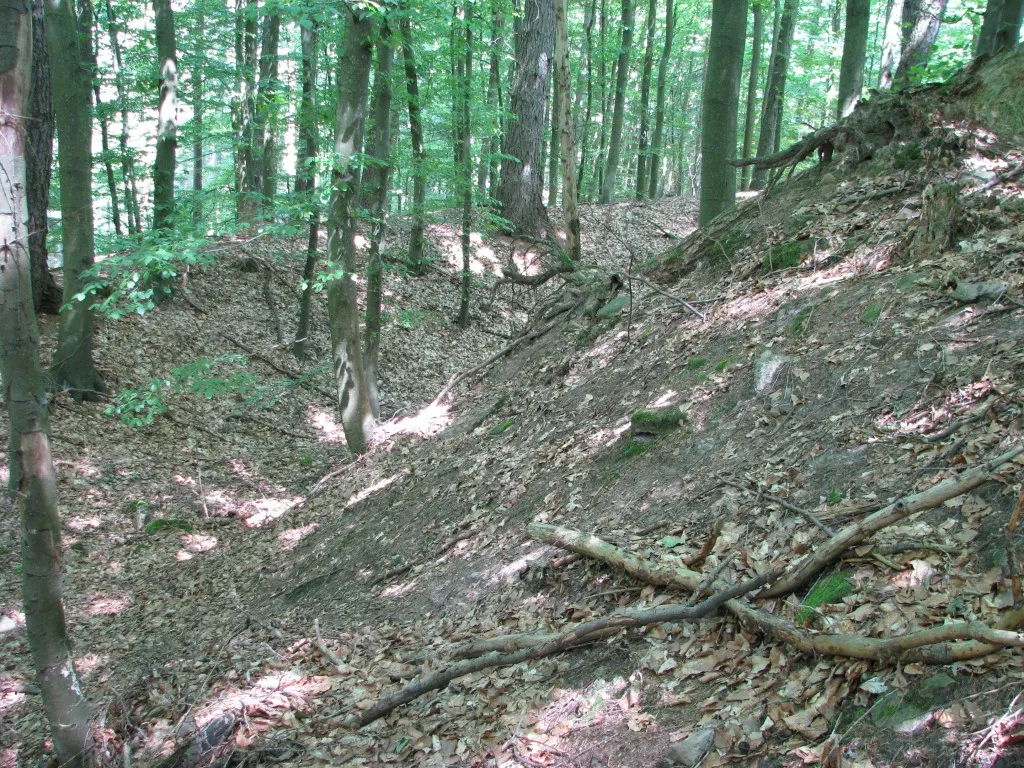 Die Harfenburg in Heddesbach im südlichen Odenwald