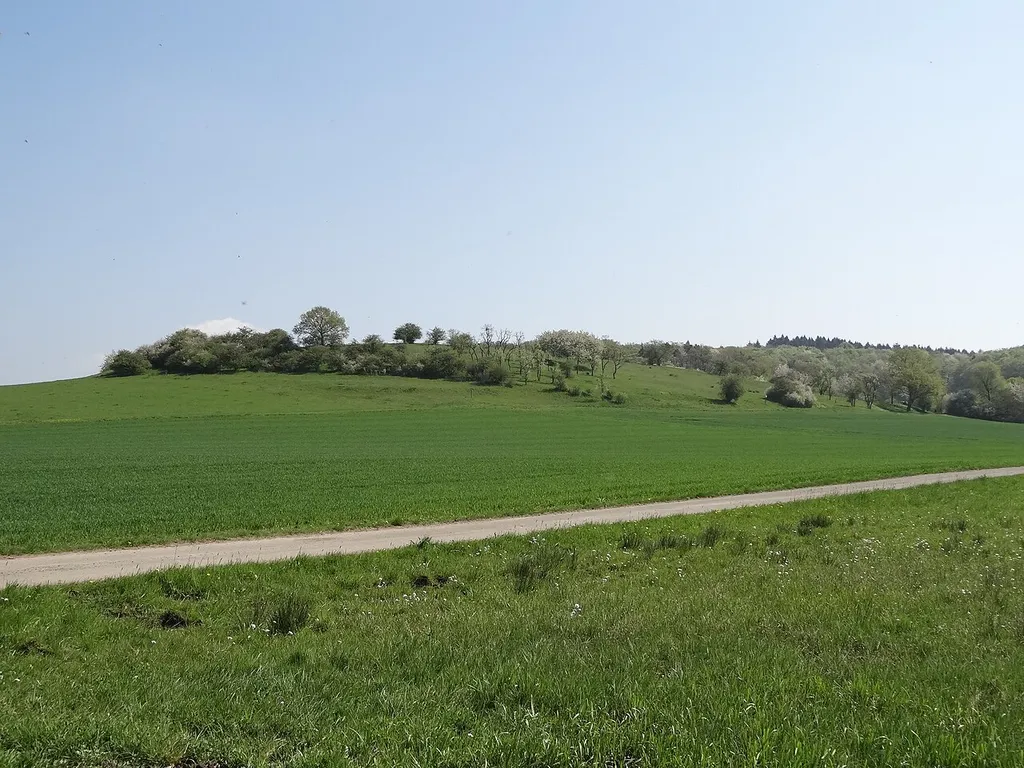 Naturschutzgebiet Burg bei Unter-Widdersheim