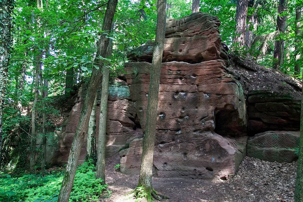 Tiergarten Nürnberg mit Schmausenbuck