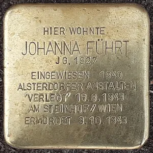 Stolperstein dedicated to Johanna Fürth