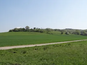 Burg bei Unter-Widdersheim