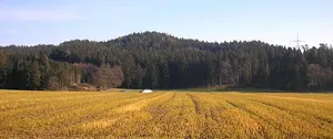 Burgstall Appertshausen