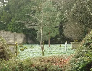 Walled Garden East Of The Church Of St Mary, Barrington Park