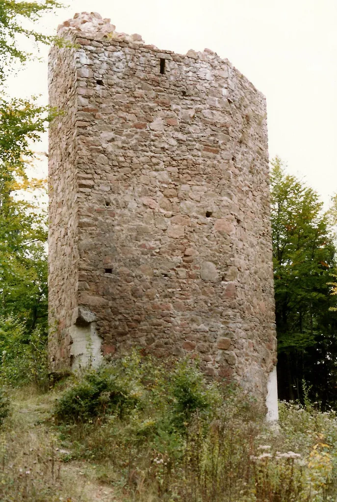 Castle ruin Ramspau (1990)