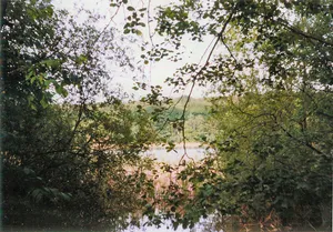 Lüschow