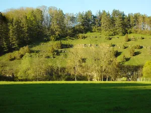 Neckar und Seitentäler bei Rottenburg
