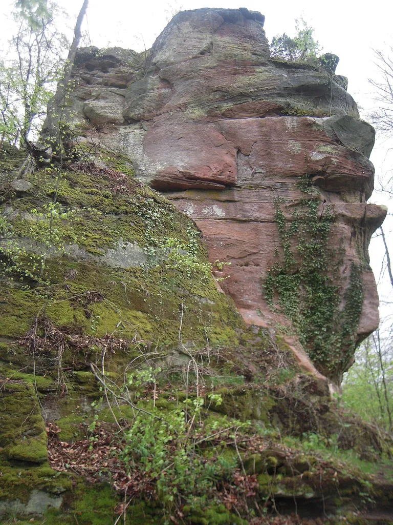 Ruine du Helfenstein (Falkenstein)