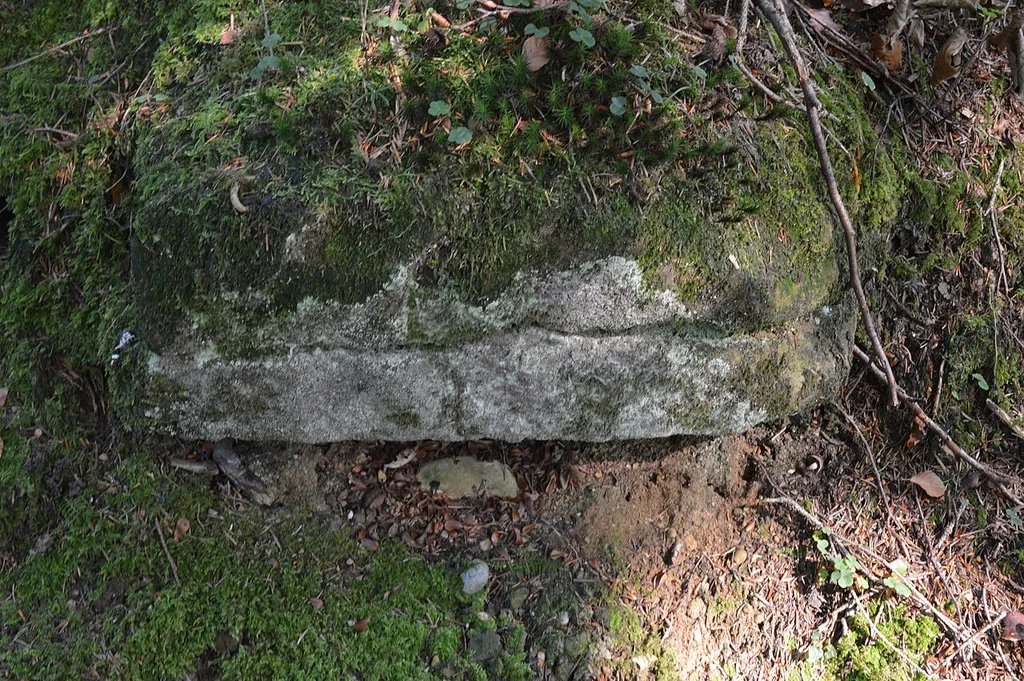 Stein am Hang bei der Waldburg in Häggenschwil