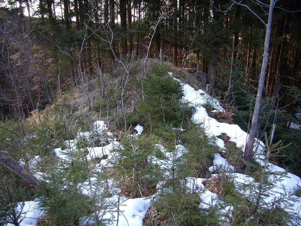 Burgstall Sumetsrad heute