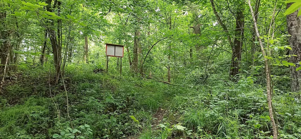 Weg zum Burgstall Schönstein