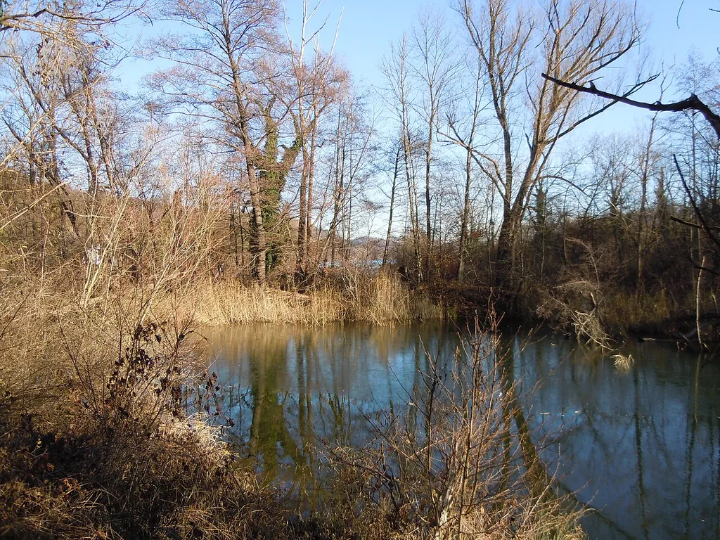 Naturdenkmal "West- und Nordufer Baggersee Kirchentellinsfurt" (Schutzgebiets-Nr. 84160220121).
