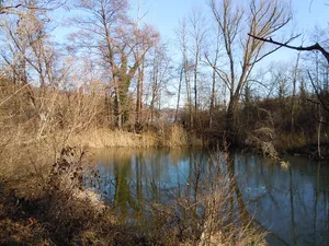 West- und Nordufer Baggersee Kirchentellinsfurt