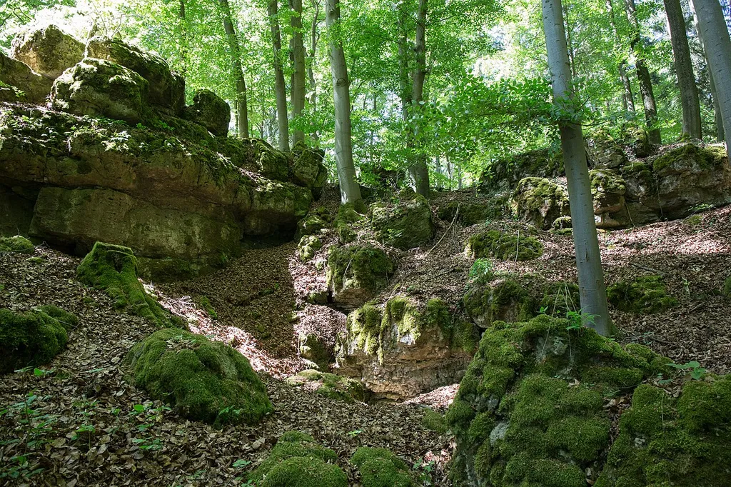 Blick auf den Höhleneingang