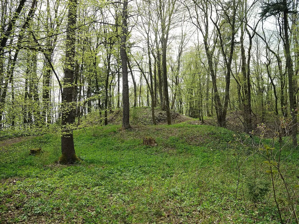 Burgstall Hainburg - Ansicht aus östlicher Richtung