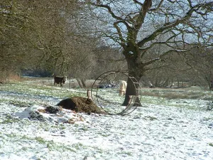 Church Farm Marshes