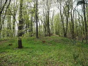 Burgstall Hainburg