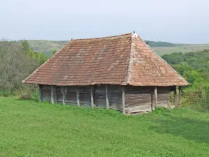 Chinciuș