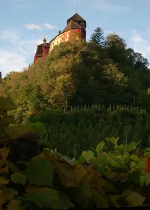 Warth Castle